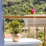 Skopelos Summer Nests - Ariadne Seaview