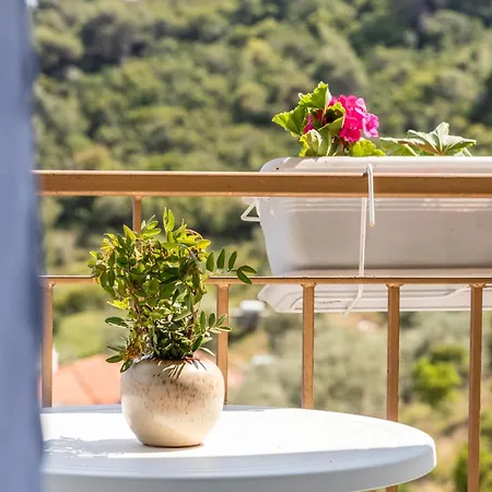Skopelos Summer Nests - Ariadne Seaview
