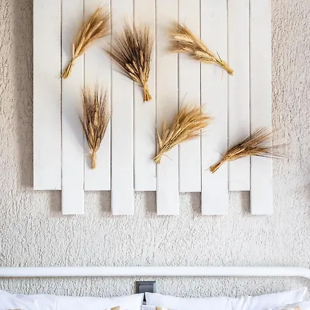 Skopelos Summer Nests - Ariadne Seaview Отель *