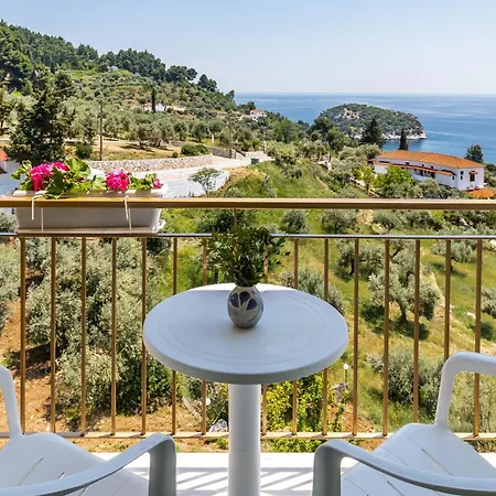 Отель Skopelos Summer Nests - Ariadne Seaview